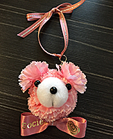 chou chou fleur
