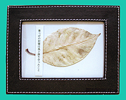 AO手作り工房
