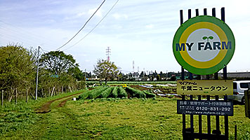 マイファーム千葉農場