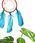 Rainbow Dreamcatcher Japan