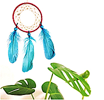 Rainbow Dreamcatcher Japan