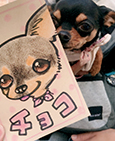 にがおえ便